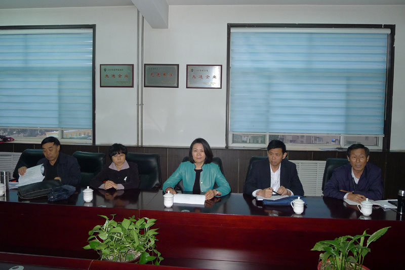 市領(lǐng)導(dǎo)來我公司調(diào)研