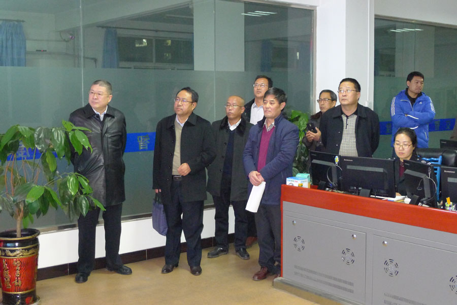國資委領(lǐng)導(dǎo)來我公司調(diào)研
